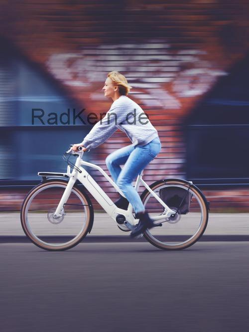 Schindelhauer Hannah technische daten